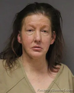 Mugshot of ALLISON GAYLE EVERETT booked in Ocean County, New Jersey on March 6, 2026