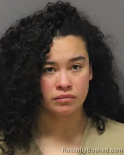 Mugshot of ALYSSA MARIE GILLETT