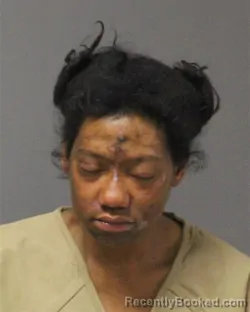 Mugshot of MONIQUE NICOLE POTTER booked in Ocean County, New Jersey on March 25, 2026