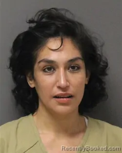 Mugshot of LEIGH ELIZABETH MEKEEL booked in Ocean County, New Jersey on March 27, 2026