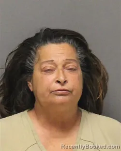 Mugshot of CONSTANCE FELLANTO booked in Ocean County, New Jersey on May 8, 2026