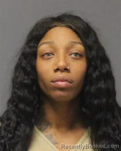 Mugshot of NICHOLE MELISSA FARRELL-FRANCIS booked in Ocean County, New Jersey on May 15, 2026