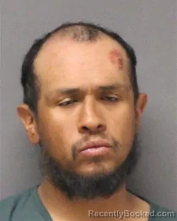 Mugshot of JAMES ANTHONY MAYORGA booked in Ocean County, New Jersey on May 23, 2026