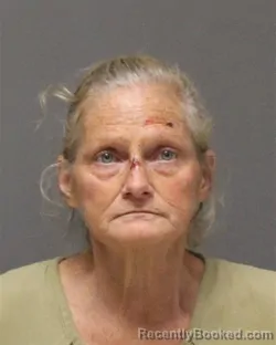 Mugshot of JERILYN MARGARET WILBERT booked in Ocean County, New Jersey on May 27, 2026