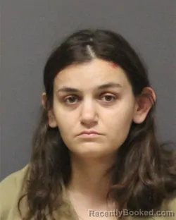 Mugshot of ALEECE MARIE ERRICO booked in Ocean County, New Jersey on June 5, 2026