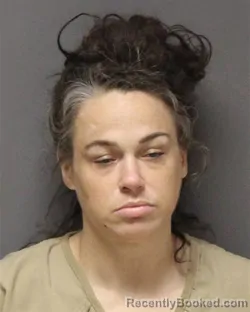 Mugshot of LISA ELIZABETH STEARN booked in Ocean County, New Jersey on June 25, 2026