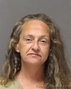 Mugshot of MICHELLE ANN SWANN booked in Ocean County, New Jersey on July 15, 2026