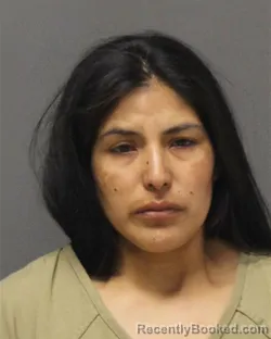 Mugshot of ELVA NUNEZ booked in Ocean County, New Jersey on July 20, 2026