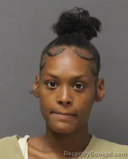 Mugshot of CAMILLE SELENA MORRIS booked in Ocean County, New Jersey on July 27, 2026