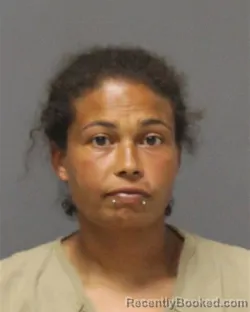 Mugshot of VANESSA LYNN THOMAS booked in Ocean County, New Jersey on July 28, 2026