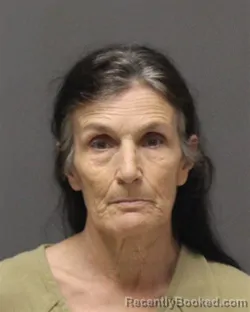 Mugshot of EVELYN RITA WERGEN booked in Ocean County, New Jersey on July 29, 2026
