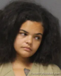 Mugshot of KAITLYN FEEHAN booked in Ocean County, New Jersey on August 2, 2026