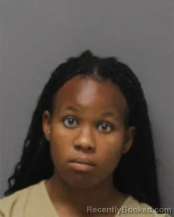 Mugshot of KENDALL BLESSING BROWN booked in Ocean County, New Jersey on August 3, 2026