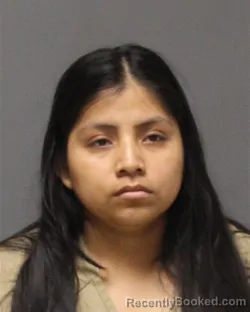 Mugshot of ANA GARISTA GONZALEZ booked in Ocean County, New Jersey on August 5, 2026