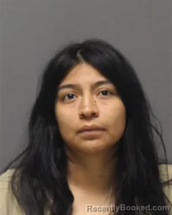 Mugshot of Maria Calvacontento booked in Ocean County, New Jersey on August 24, 2026