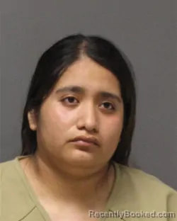 Mugshot of Ariadana E Lazaroflores booked in Ocean County, New Jersey on August 28, 2026