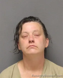 Mugshot of Lisa Marie Dulany booked in Ocean County, New Jersey on August 28, 2026