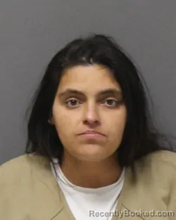 Mugshot of Stephanie B Tene booked in Ocean County, New Jersey on October 23, 2026
