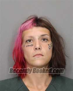 Booking photo from Salem County, New Jersey