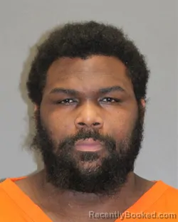 Mugshot of ANTHONY D RICHARDSON