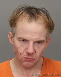 Mugshot of DAVID W GILLIGAN