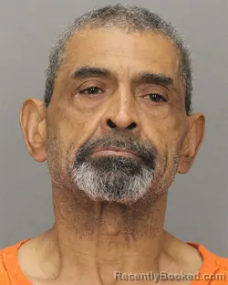 Mugshot of PAUL E JOHNSON