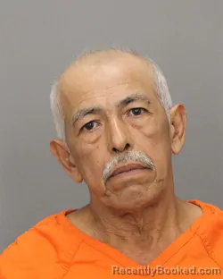 Mugshot of LUCAS GONZALEZ LAGOS