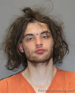 Mugshot of DOMINIC L DISALVIA