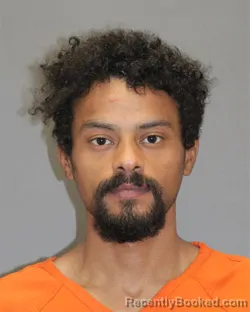 Mugshot of DARNELL L RILEY