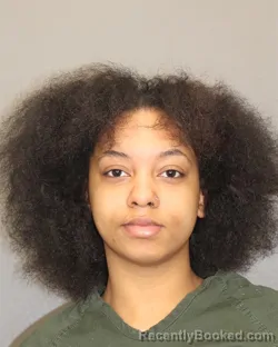 Mugshot of VIOLA J RAWLINS