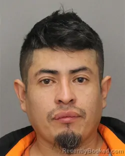 Mugshot of DARIO A LOPEZCLEMENTE