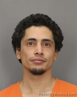 Mugshot of ZAHEED K KALAM