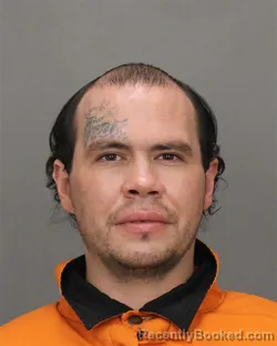 Mugshot of DAVID G HART
