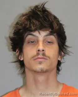 Mugshot of JOSE L DACOSTA