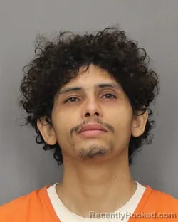 Mugshot of NOEL F MAPLES