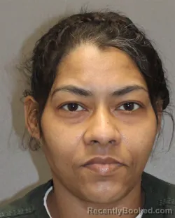 Mugshot of ADNERIS M TORRES-CAMACHO