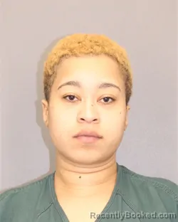 Mugshot of EVELYN I LLANOS booked in Salem County, New Jersey on March 7, 2026