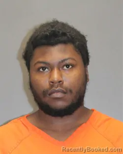 Mugshot of BRANDON L ALLEN booked in Salem County, New Jersey on March 8, 2026