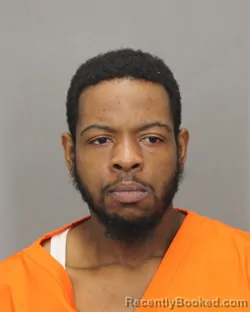 Mugshot of DIMITRI M REECE booked in Salem County, New Jersey on March 9, 2026