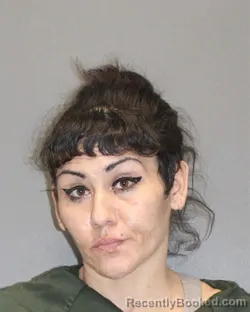 Mugshot of CHRISTINE M CARI booked in Salem County, New Jersey on March 9, 2026