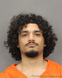 Mugshot of NAYTHAN C RESTO booked in Salem County, New Jersey on March 11, 2026