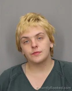 Mugshot of DESTINY A MORGAN