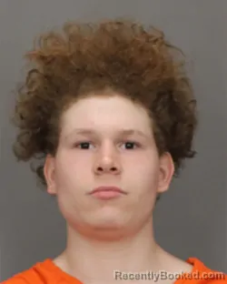 Mugshot of NATHAN A WALKER