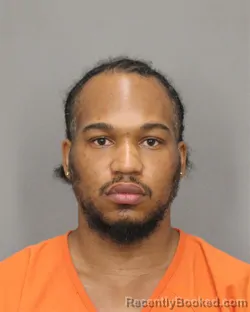 Mugshot of DONALD L WILLIAMS