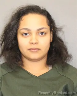 Mugshot of JUSTINA D DESHIELDS booked in Salem County, New Jersey on March 25, 2026