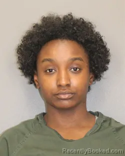 Mugshot of JAELA D WILSON booked in Salem County, New Jersey on March 26, 2026