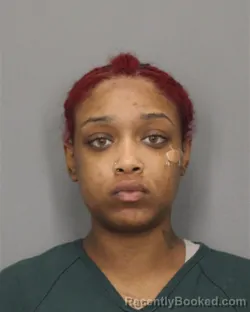 Mugshot of ALAYSIA T NEVILLE booked in Salem County, New Jersey on March 26, 2026