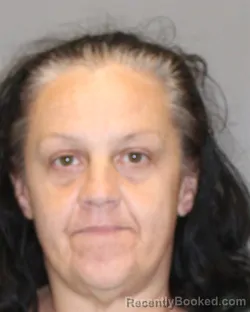 Mugshot of TRACEY L MAUZ booked in Salem County, New Jersey on April 1, 2026