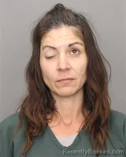 Mugshot of TARA M DECARLO booked in Salem County, New Jersey on April 1, 2026