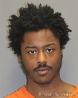 Mugshot of MYAIRE A BROWN booked in Salem County, New Jersey on April 2, 2026